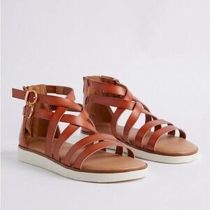 Torrid Sport Gladiator Sandals